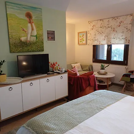 το σπίτι της ευτυχίας στούντιο Apartment