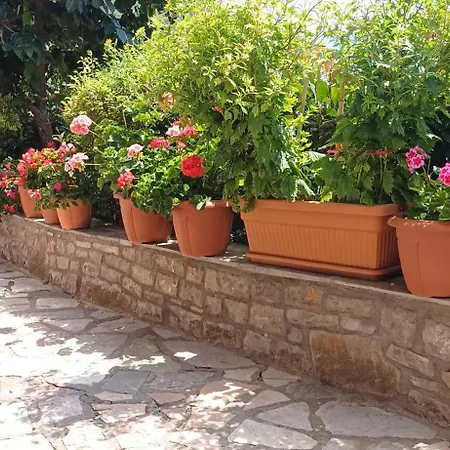 το σπίτι της ευτυχίας στούντιο * Karpenísion