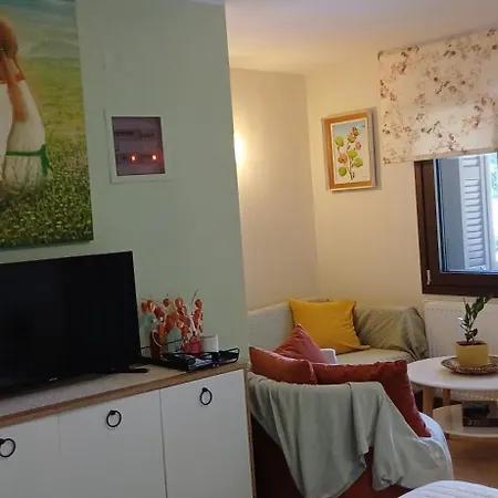 Apartmán το σπίτι της ευτυχίας στούντιο Karpenísion